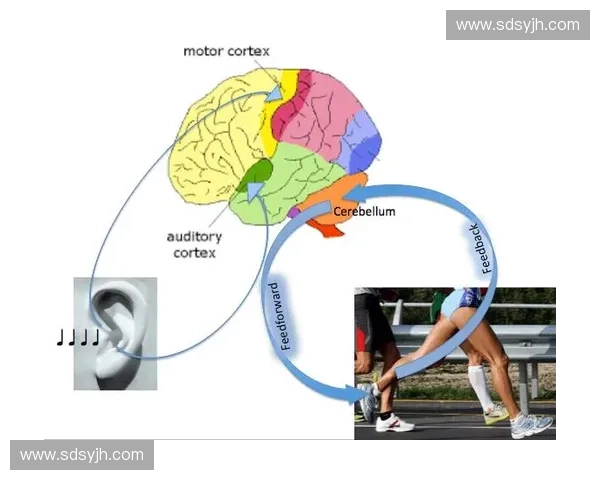 基于动作解析的运动行为机制与表现提升方法研究系统化路径探索