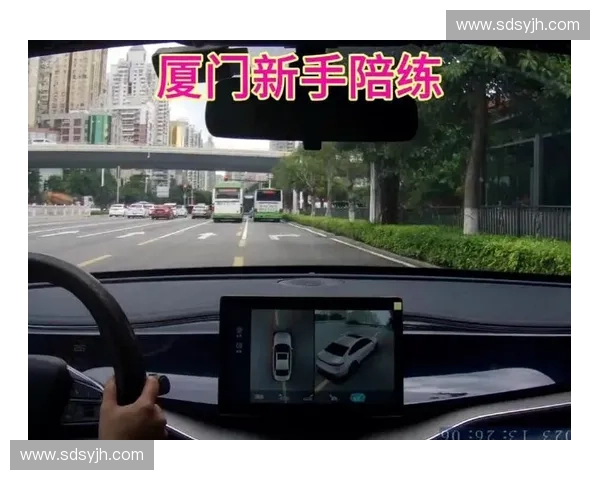 掌握驾驶转弯技巧提升安全与操控能力全攻略